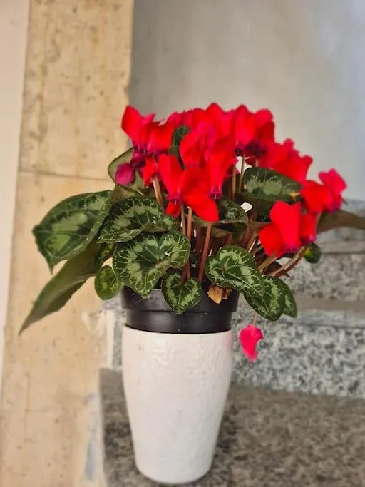 La Dolce Corte Brenta 0*,  Italien